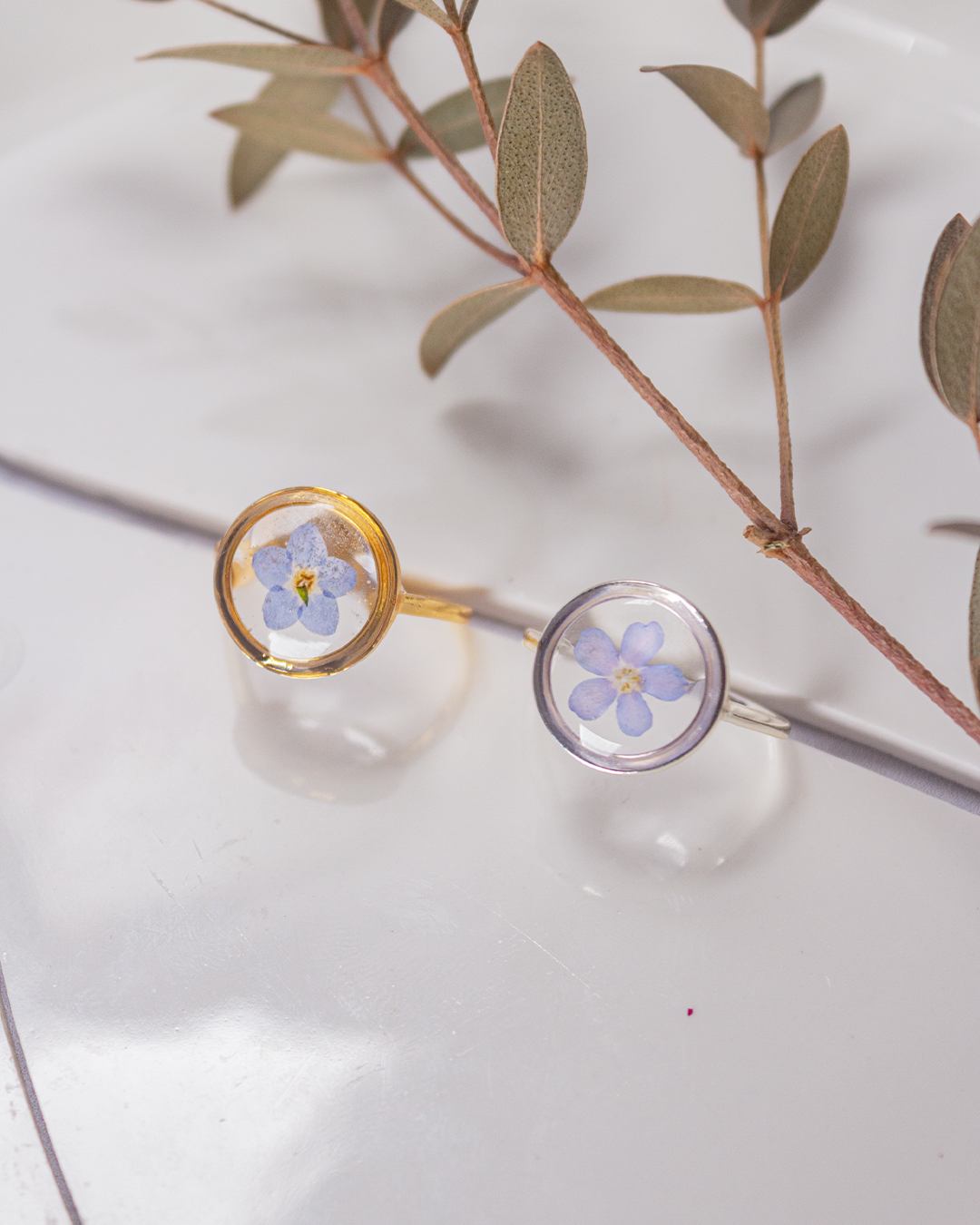 Alice - La bague