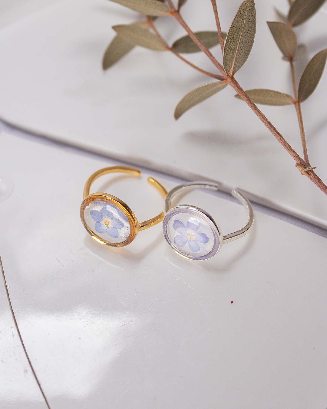 Alice - La bague