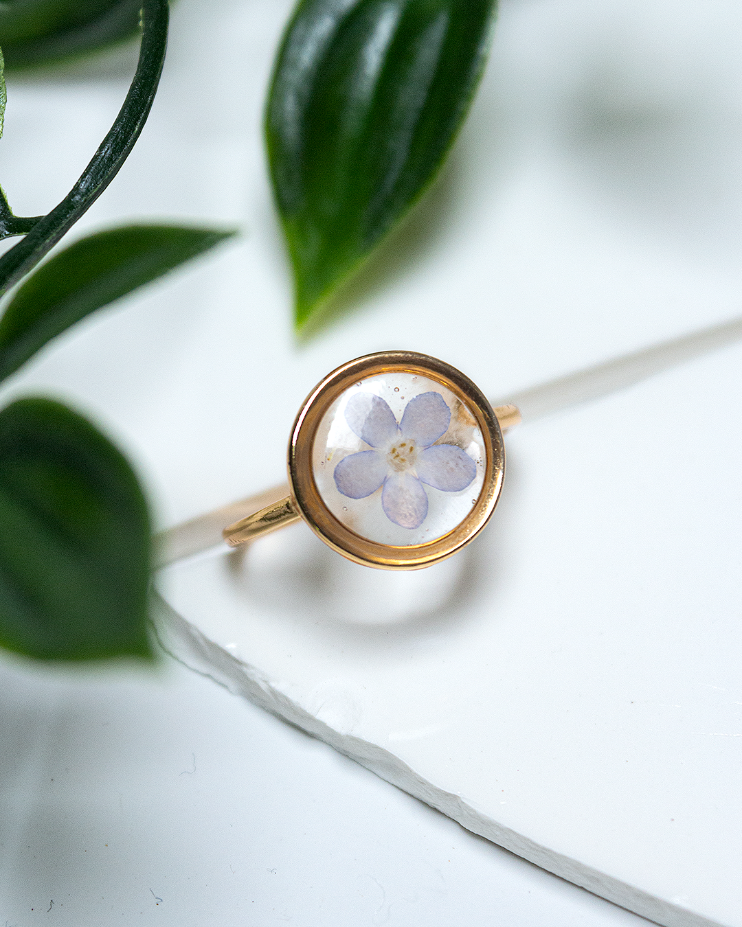 Alice - La bague