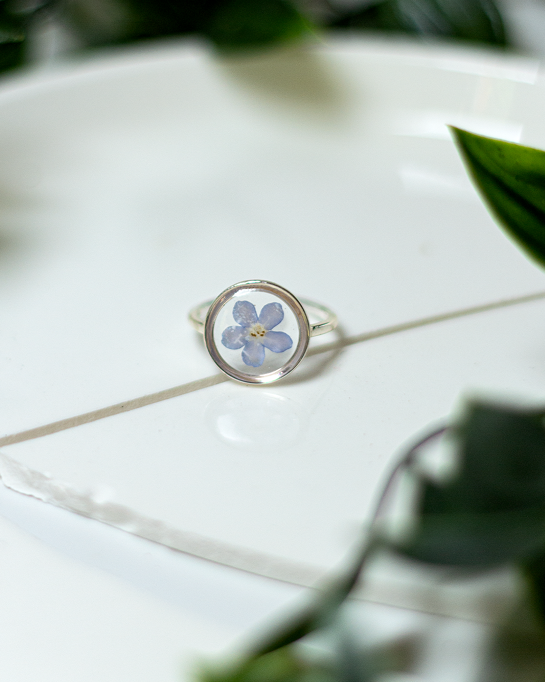 Alice - La bague